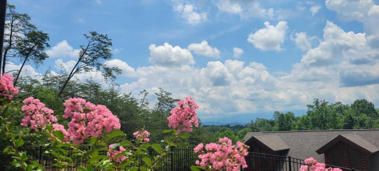 The Bear Paw Palace Mtn View And Community Pools Pigeon Forge Luaran gambar